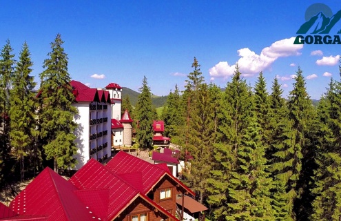 Photo Hotel Gorgan Bird's