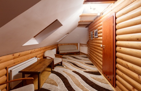 Family Studio Duplex дворівневий номер
